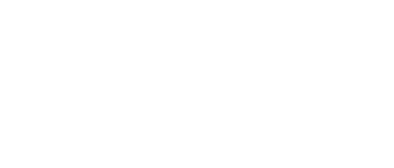 nano-field-logo